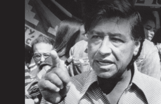 Section background image