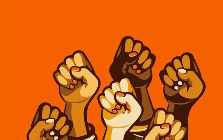 Section background image