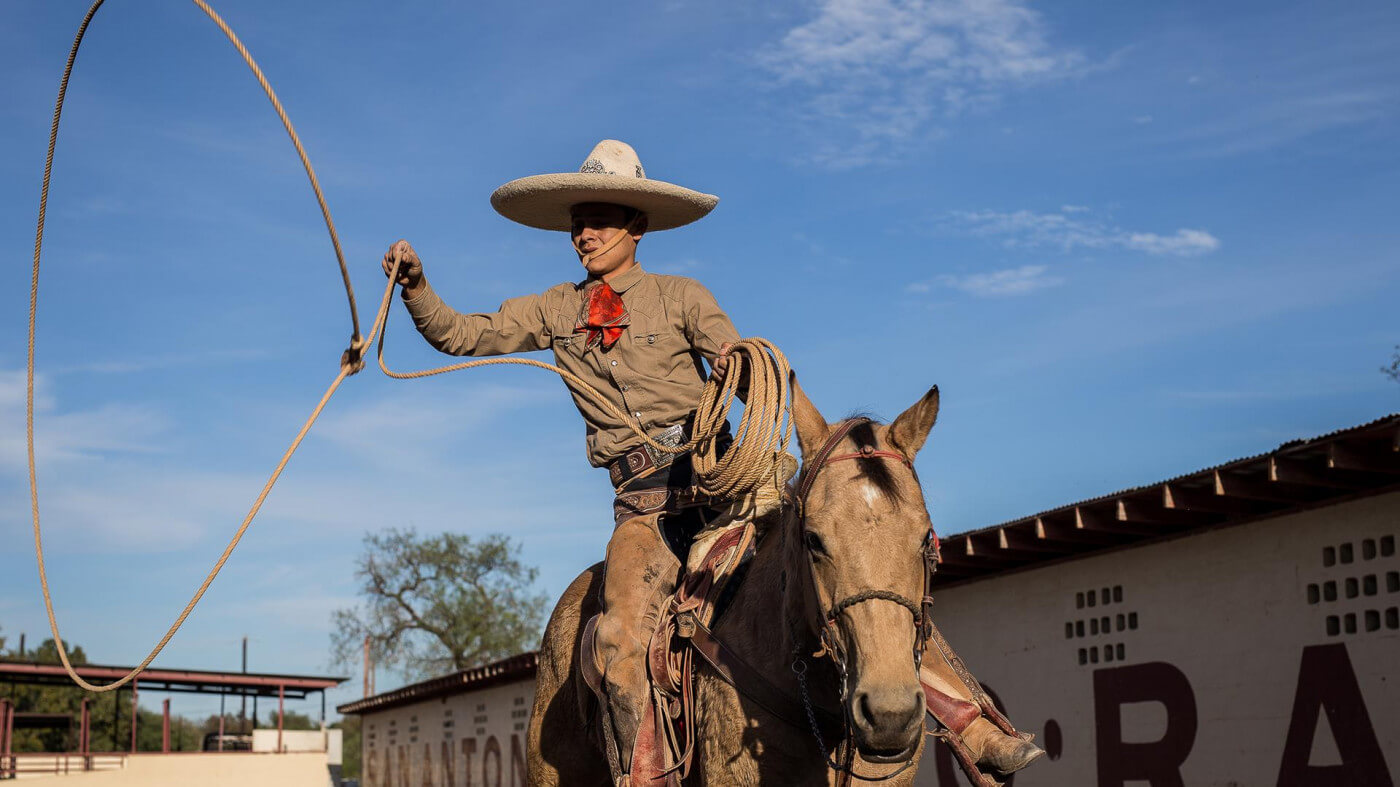 Section background image