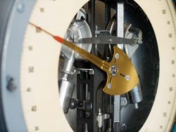 Section background image