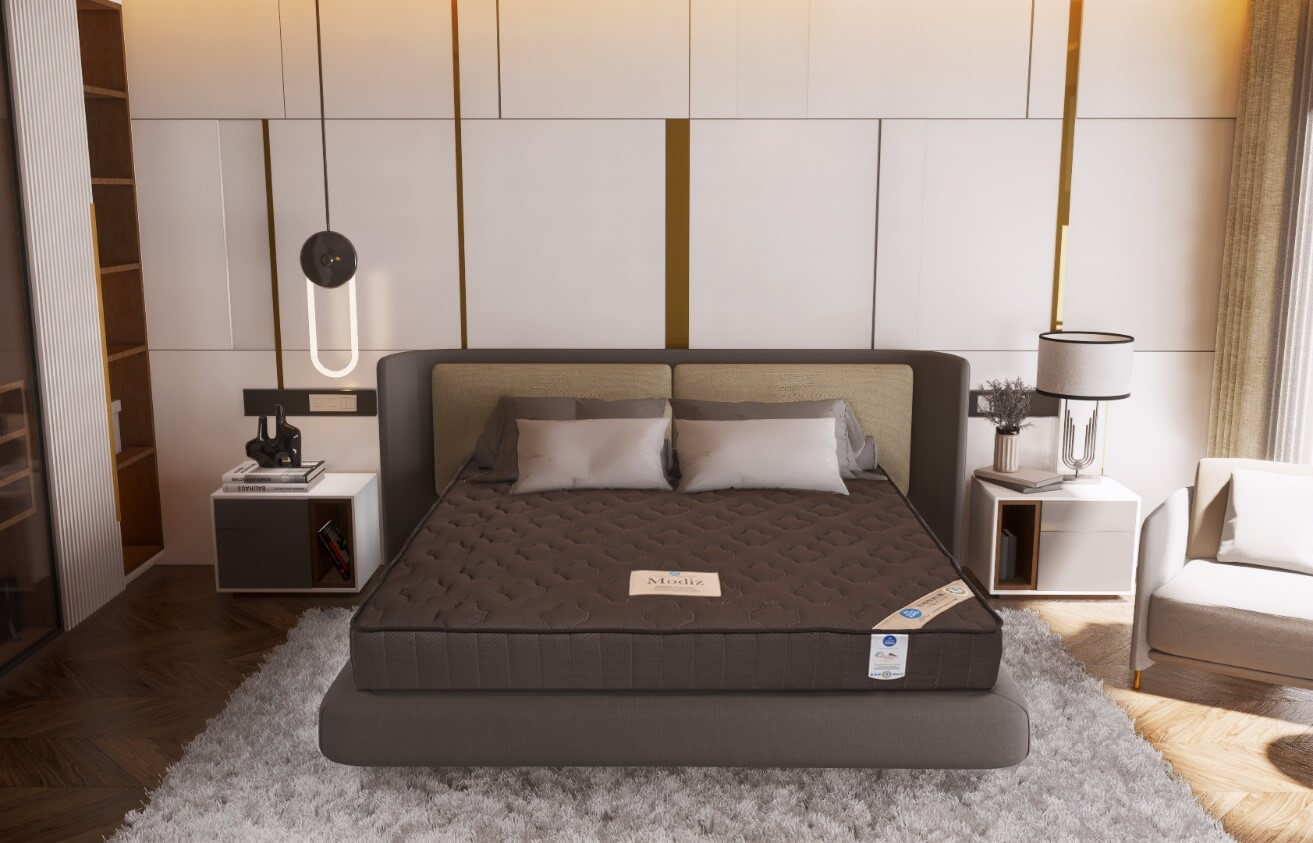 ที่นอนเพื่อสุขภาพ รุ่น Modiz