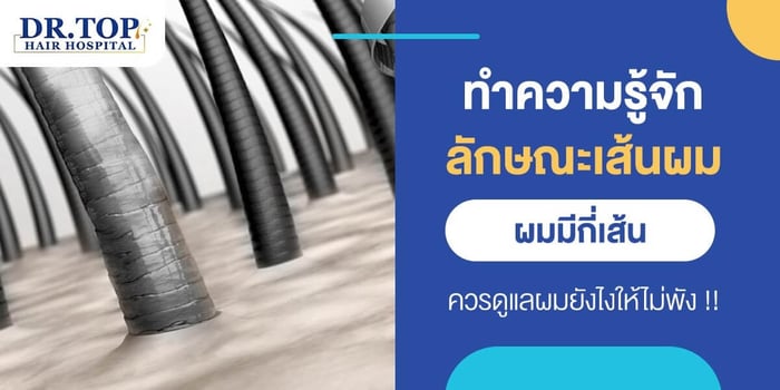 ทำความรู้จักลักษณะเส้นผม ผมมีกี่เส้น ควรดูแลผมยังไงให้ไม่พัง !!