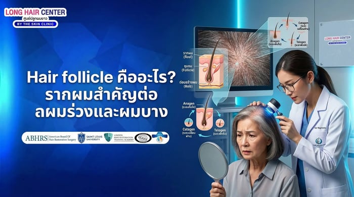 Hair Follicle คืออะไร? รากผมสำคัญแค่ไหนต่อผมร่วงและผมบาง