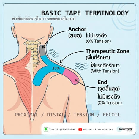 คำศัพท์ต้องรู้ในการติดคิเนซิโอเทป (BASIC TAPE TERMINOLOGY)