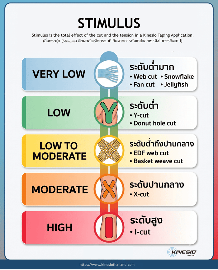 ติดคิเนซิโอเทป: การตัดและแรงตึง ส่งผลกระตุ้นร่างกายอย่างไร?
