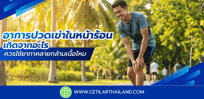 อาการปวดเข่าในหน้าร้อน เกิดจากอะไร ควรใช้ยาทาคลายกล้ามเนื้อไหม
