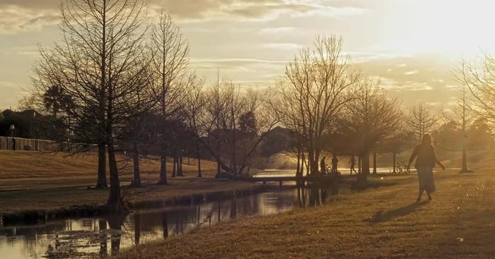 Family Playing in Park After Moving to Tomball, TX