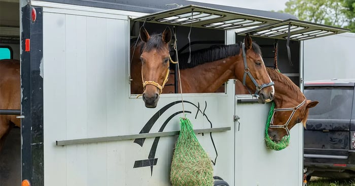 Horse Tack & Equipment Storage in Aiken, SC: A Guide for Equestrians