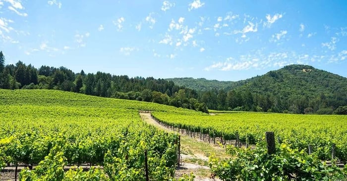 Moving to Sonoma, CA? 2026 Neighborhood & Storage Guide