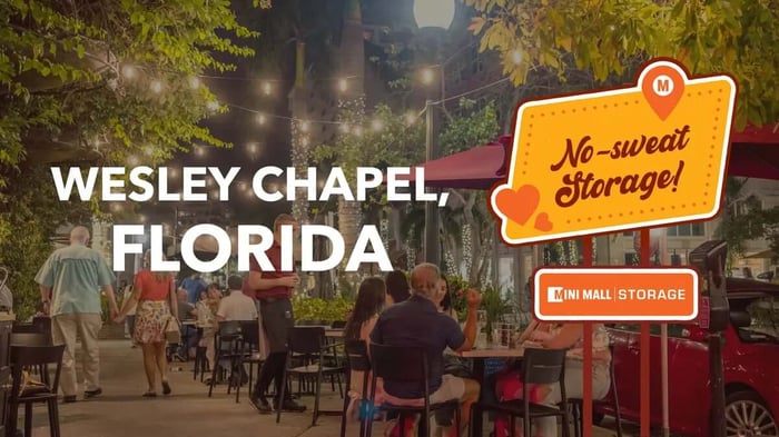 A Local’s Guide to Living in Wesley Chapel, FL