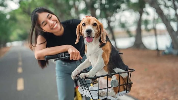 Top Dog-Friendly Cities in the U.S.