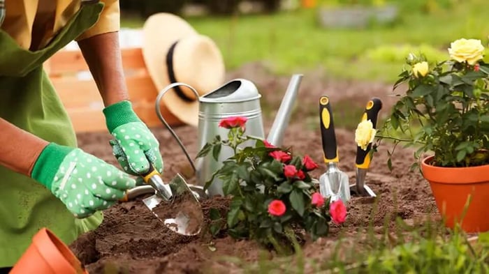 10 Simple Ideas for Your Home Garden