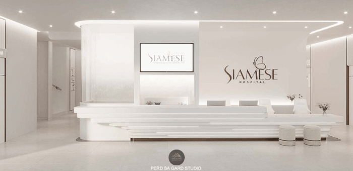 10 ไอเดียออกแบบคลินิกเสริมความงามให้ดูหรูหราและน่าเชื่อถือ