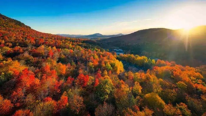 Tombe en amour avec l’automne à Sainte-Thérèse, QC