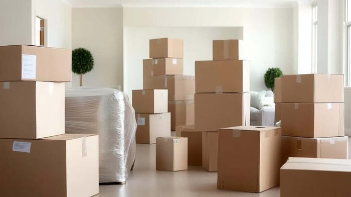 Mold and Pest Prevention Storage Units: How to Protect Your Belongings