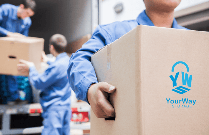 College Student Survival Tips