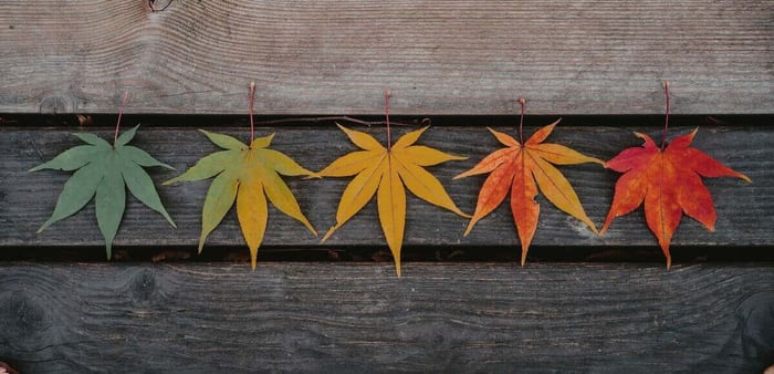 year-round-seasonal-storage