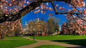 Moving to Salem, OR: What You Need to Know in 2026