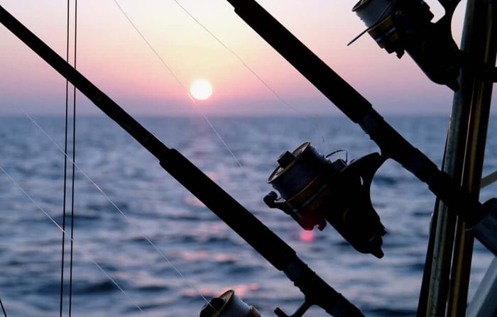 The Top 5 Fish To Catch While Summer Fishing in Florida - Safeguard Self Storage