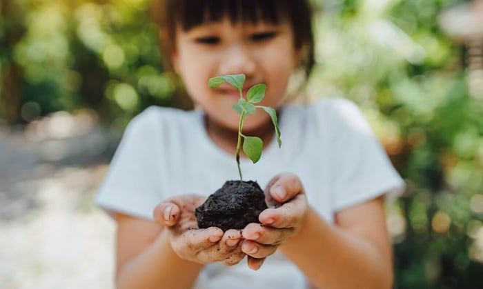 How To Celebrate Earth Day Everyday - Safeguard Self Storage