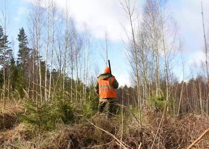Sharpen Your Hunting Skills This Summer - Safeguard Self Storage