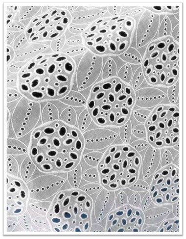 Eco-Luxury Appeal (Seen in: Stella McCartney, Gabriela Hearst): Pairs beautifully with GOTS-certified organic cottons, enhancing your brand’s sustainability credentials.Pairs beautifully with GOTS-certified organic cottons, enhancing your brand’s sustainability credentials.