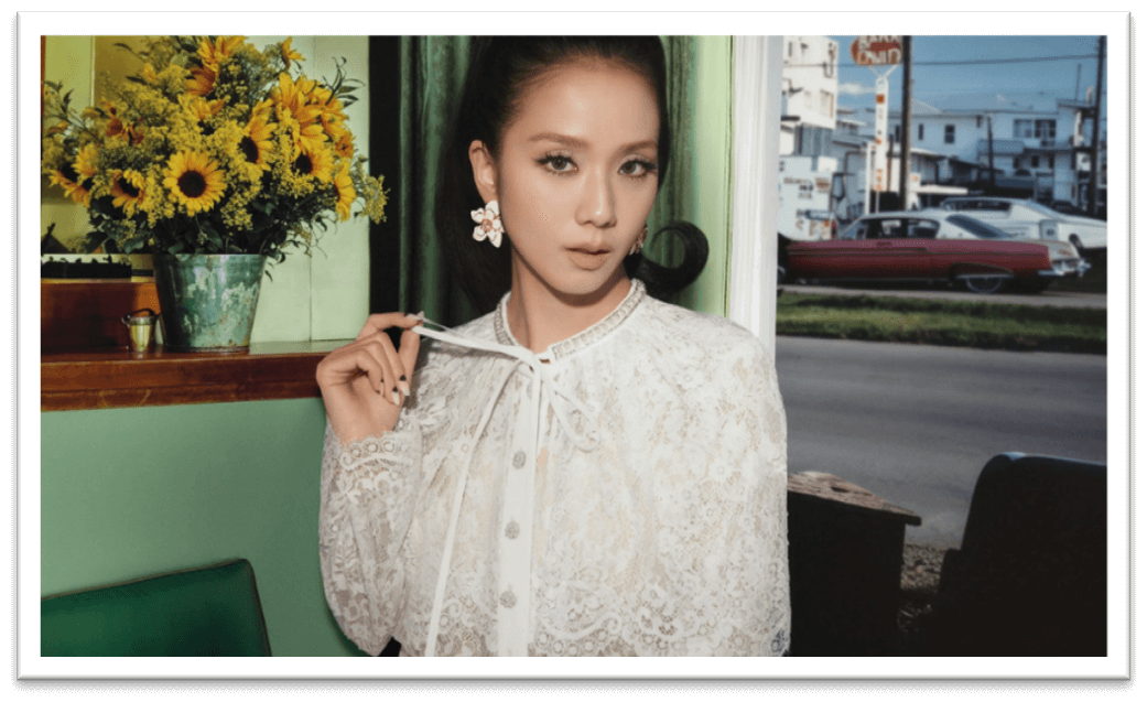 Embroidery fabric, Lace shop