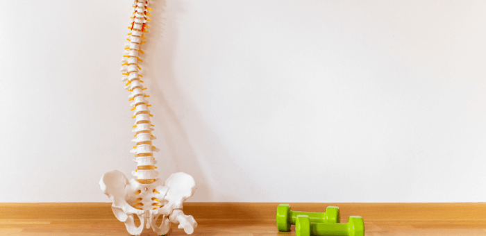 กระดูกสันหลังคดคืออะไร ? เมื่อไหร่ควรต้องกังวล ?