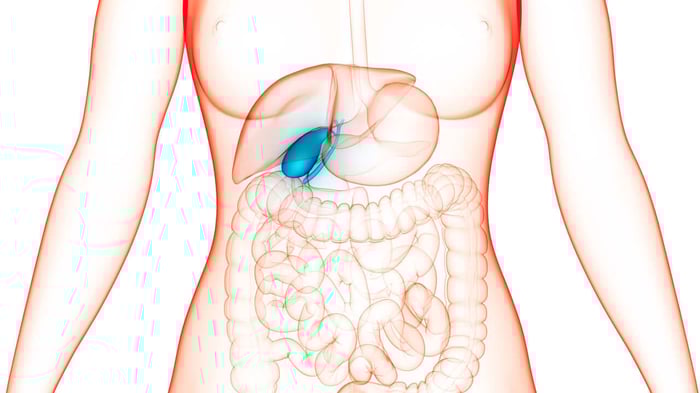 Gut Health Secrets: Unlock the Hidden Power of Your Digestive System
