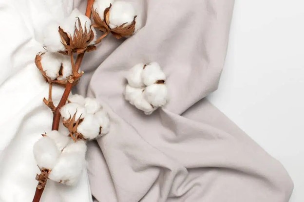 With increasing demand from the new generation for eco-friendly fabrics and  innovations in the fashion industry  , understanding the differences between these fabrics is essential
