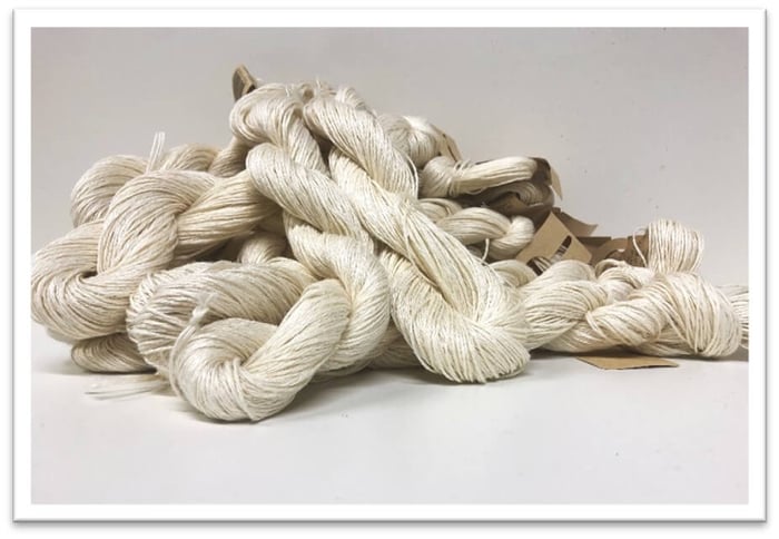 ความยั่งยืนและการตลาดที่เน้นคุณค่า (Sustainability & Ethical Positioning)