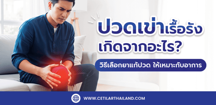 🦵 ปวดเข่าเรื้อรัง เกิดจากอะไร? วิธีเลือกยาแก้ปวดให้เหมาะกับอาการ