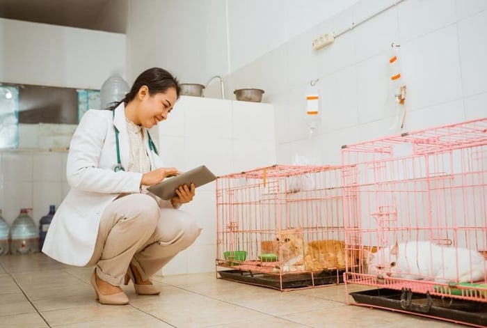 เช่น นั่งยอง ๆ นาน ๆ ใส่รองเท้าส้นสูง หรือย่อเข่าบ่อย ล้วนเพิ่มแรงกดบนข้อเข่า