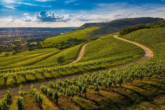 Beautiful Napa Weekend Getaway with Vineyard Views