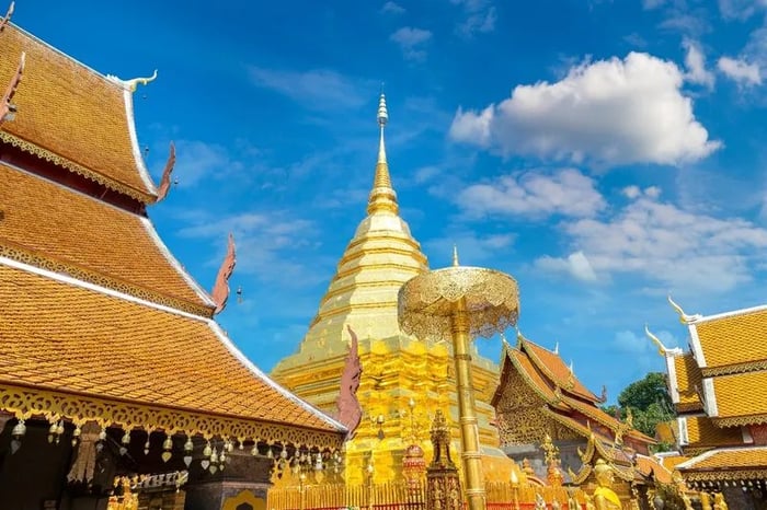 What to Do in the Afternoon: Doi Suthep Adventure