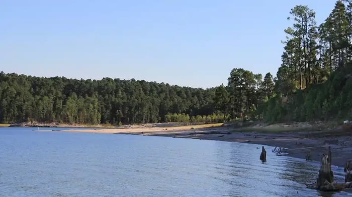 Lake Sam Rayburn in Jasper, TX