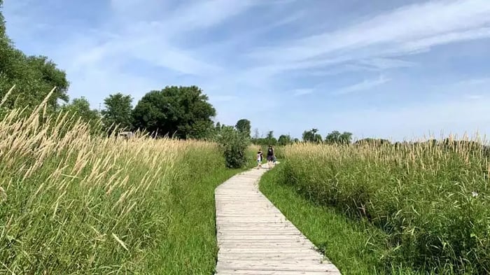 Chapman Mills Conservation Area