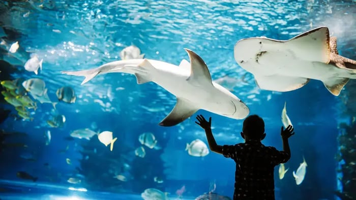 Columbus Zoo and Aquarium in Columbus, OH