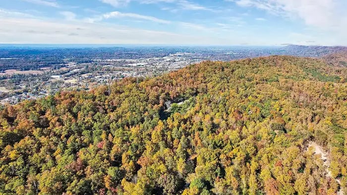nature views outside Ooltewah, Tennessee