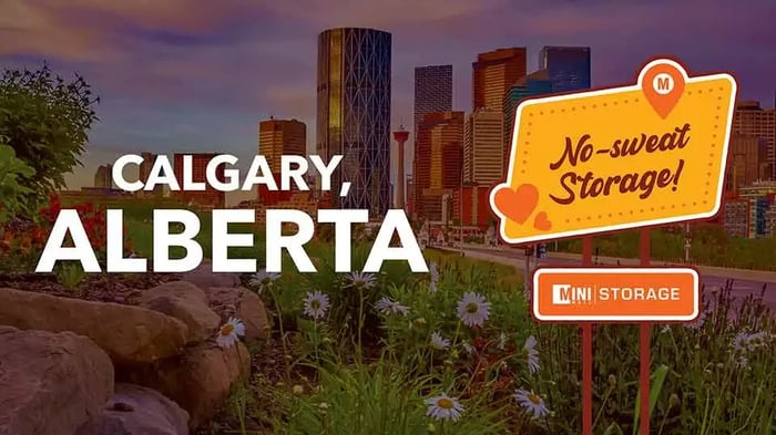 Mini Mall Storage in Calgary, Alberta