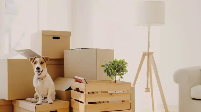 Merging Your Lives & Your Stuff: A Guide to Combining Households After Marriage   - Mini Mall Storage