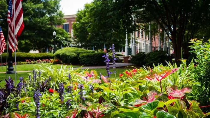 a garden in Marietta, GA