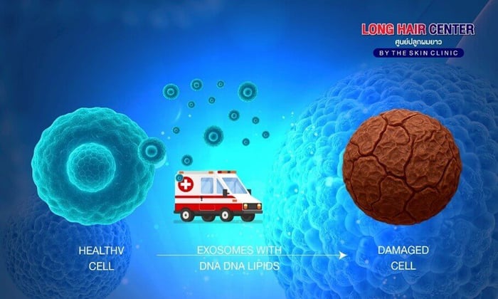 How does Micrografting Hair help with thinning hair?