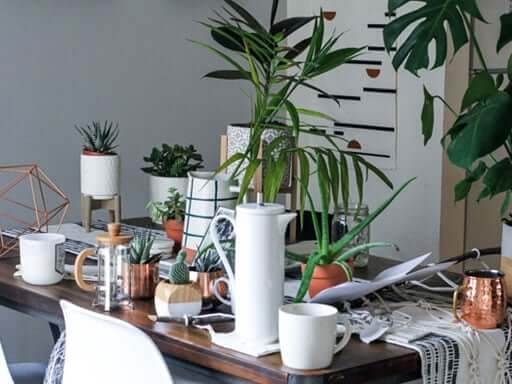 A tabletop covered in vases and potted plants