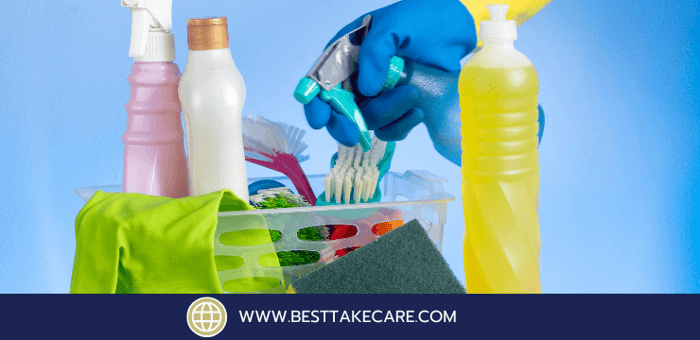 ทำความสะอาดบ้านที่มีเด็กหรือสัตว์เลี้ยง ควรใช้น้ำยาแบบไหน