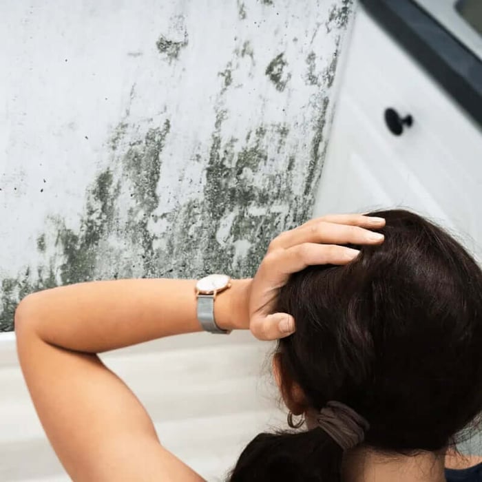 ผนังถ้ายังแก้เชื้อราไม่หาย อย่าเพิ่งทาสี เพราะคุณจะเสียค่าทาสีไม่รู้จบนะจ๊ะ