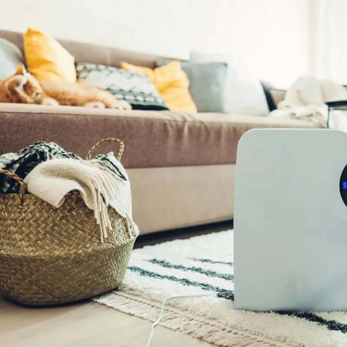 ควบคุมความชื้นในบ้าน เช่น อย่าตากผ้าไว้ใน บ้าน