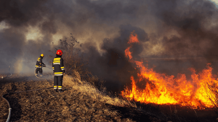 Firefighters responding to a wildfire as part of disaster preparedness efforts