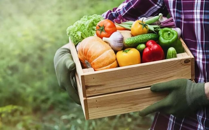 A box containing peppers, cucumbers and other vegetables.