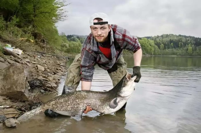 A photo of a man holding a large catfish
